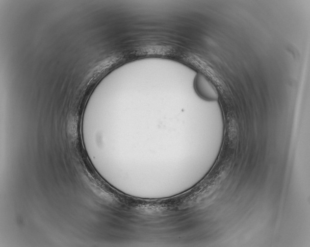 X0000111450537200908031416