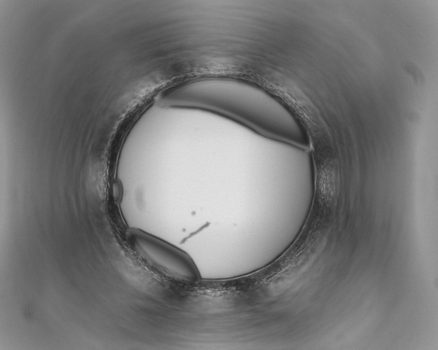 X0000111450540200908031416
