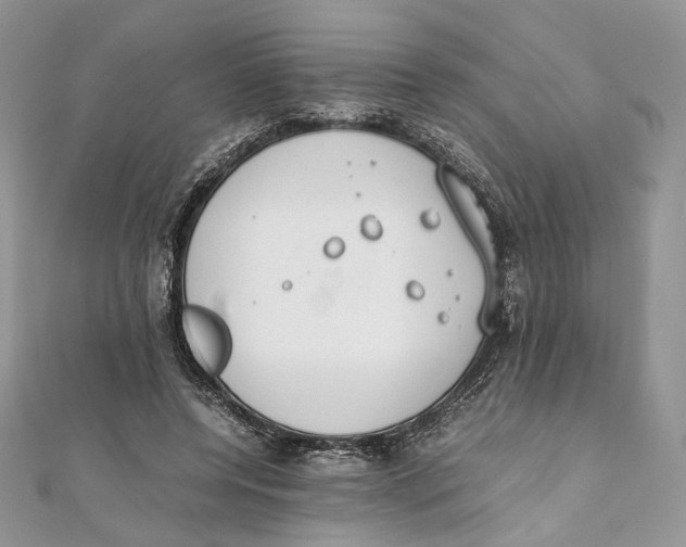 X0000111450544200908031416