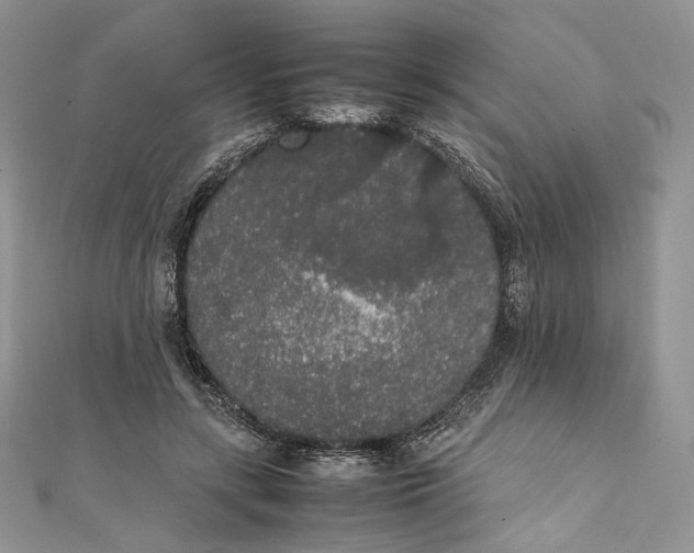 X0000111450547200908031416