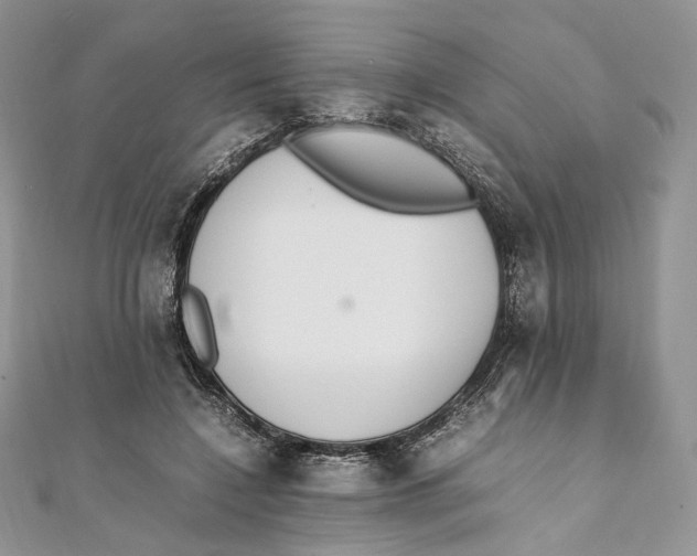X0000111450548200908031416