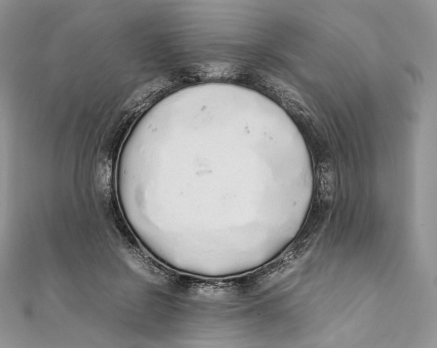 X0000111450550200908031416