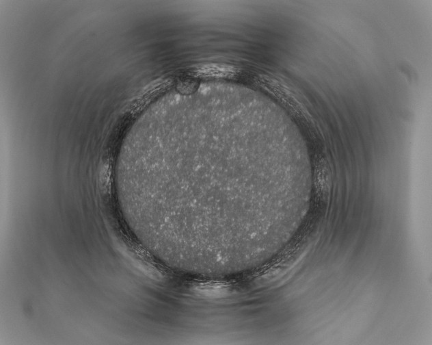 X0000111450551200908031416