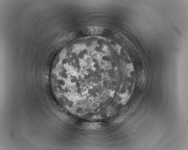 X0000111450553200908031416