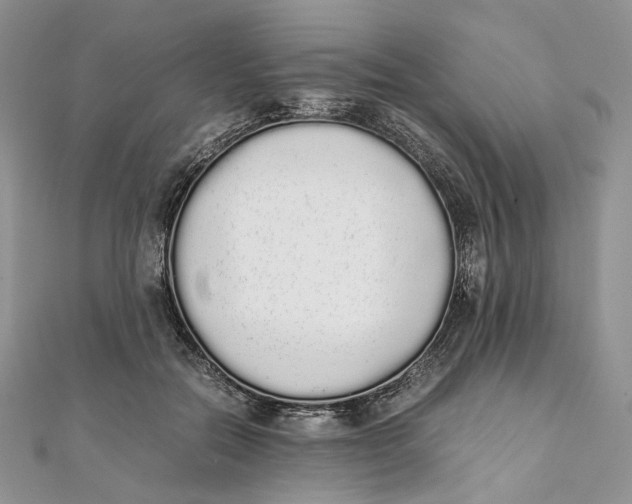 X0000111450554200908031416
