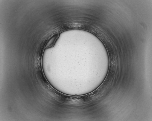 X0000111450555200908031416