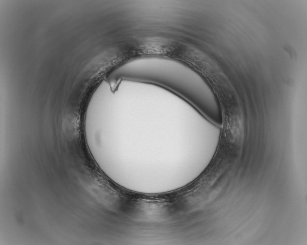 X0000111450556200908031416