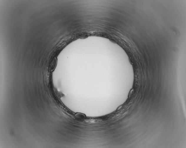 X0000111450558200908031416