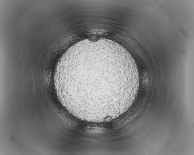 X0000111450559200908031416