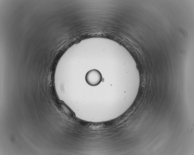 X0000111450560200908031416
