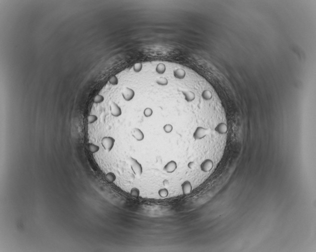X0000111450561200908031416