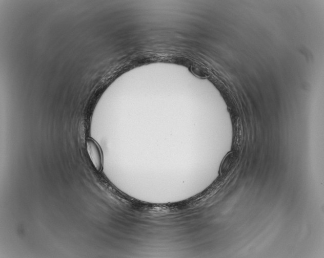 X0000111450562200908031416