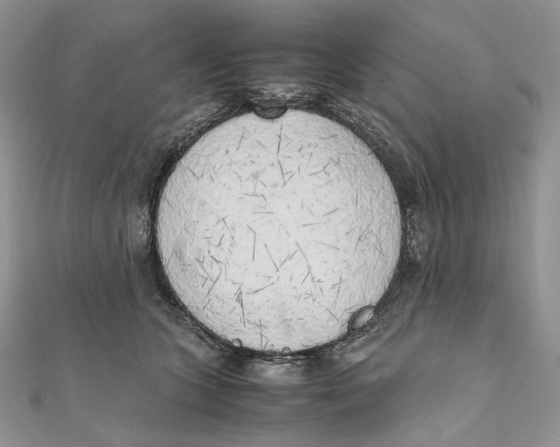 X0000111450563200908031416