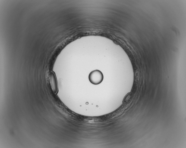 X0000111450564200908031416
