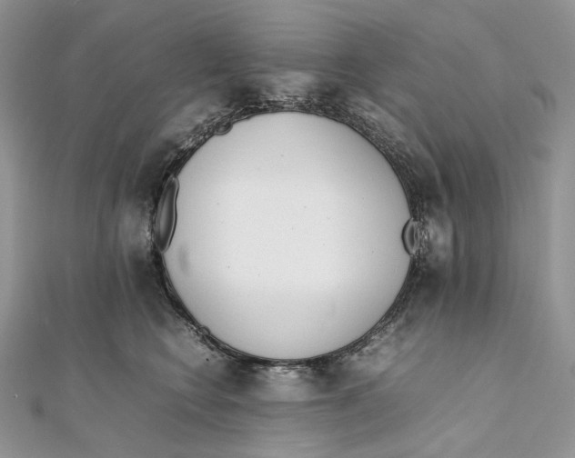 X0000111450566200908031416