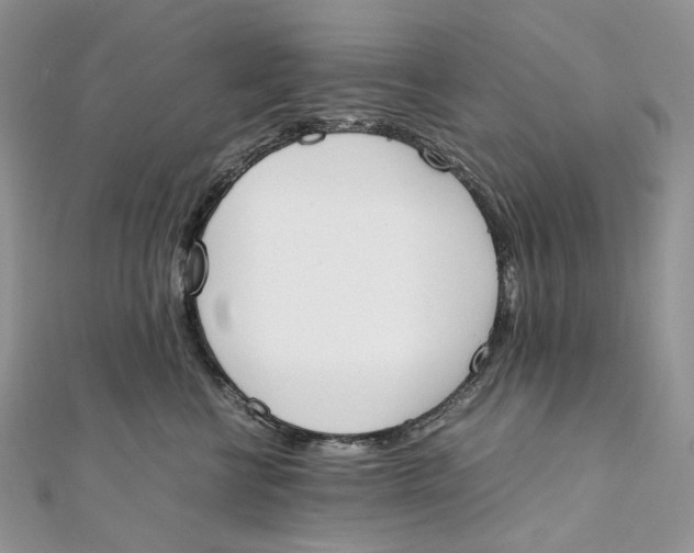 X0000111450570200908031416