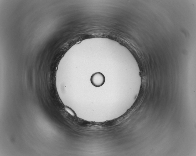 X0000111450572200908031416