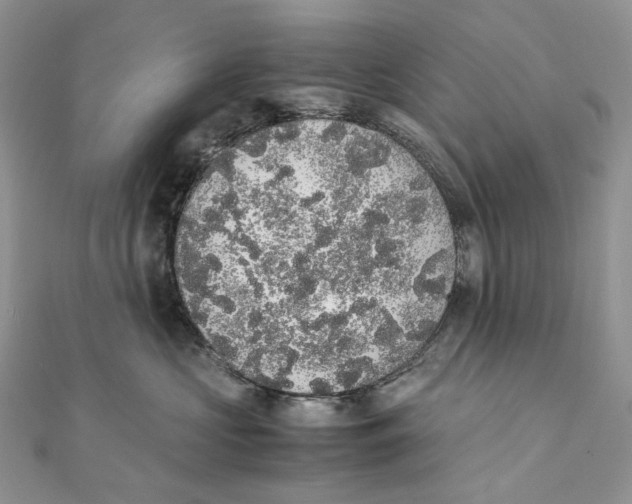 X0000111450573200908031416