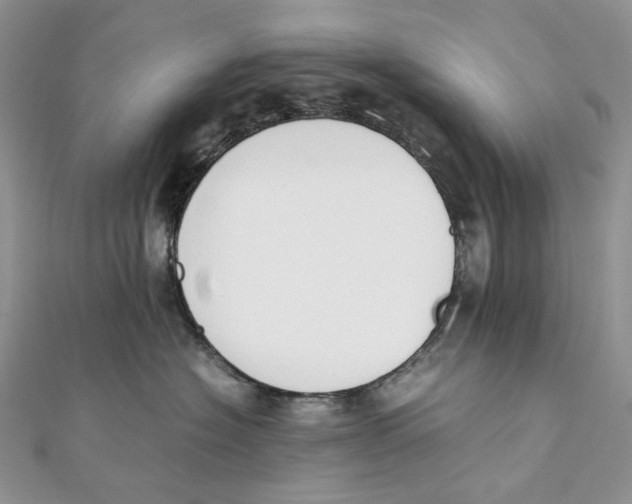 X0000111450574200908031416