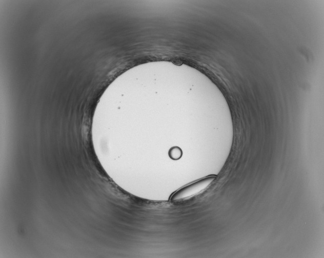 X0000111450576200908031416