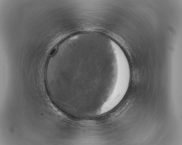 X0000111450577200908031416