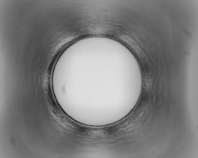 X0000111450583200908031415