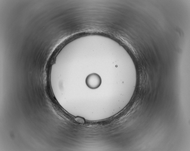 X0000111450584200908031415