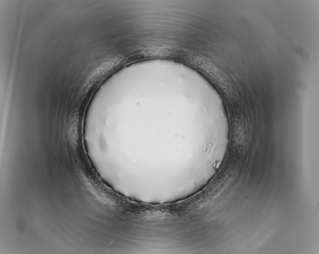 X0000111450586200908031415