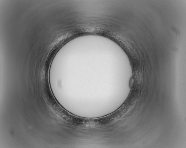 X0000111450587200908031415