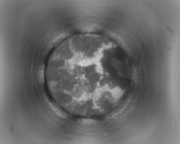X0000111450590200908031415