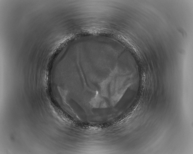 X0000111450592200908031415