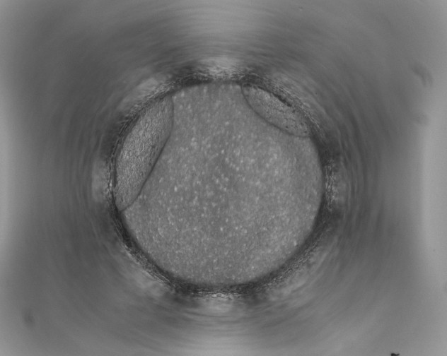 X0000111450593200908031415