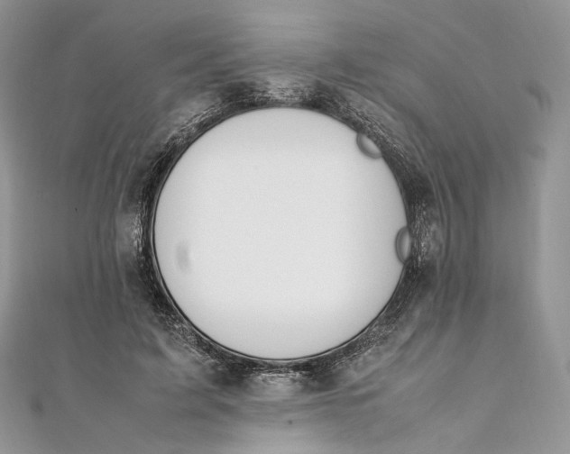 X0000111450595200908031415