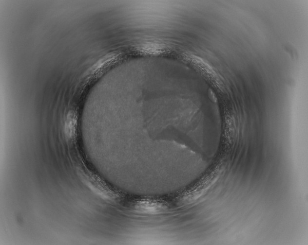 X0000111450596200908031415