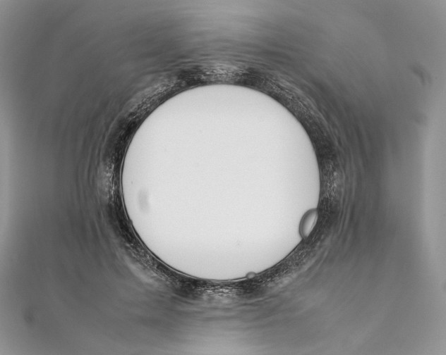 X0000111450599200908031415