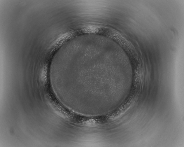 X0000111450600200908031415