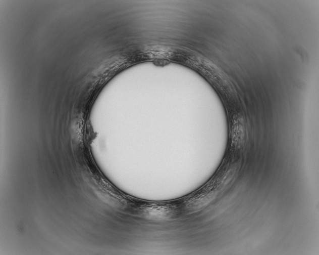 X0000111450604200908031415