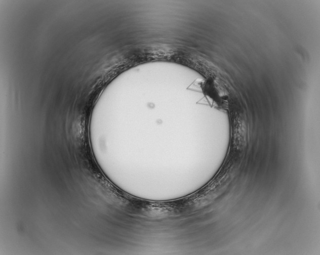X0000111450608200908031415
