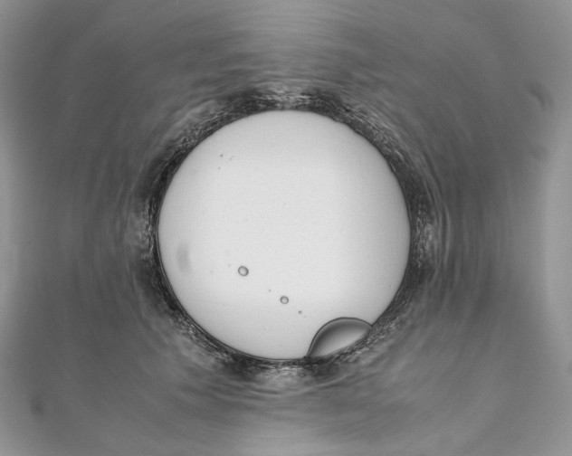 X0000111450609200908031415