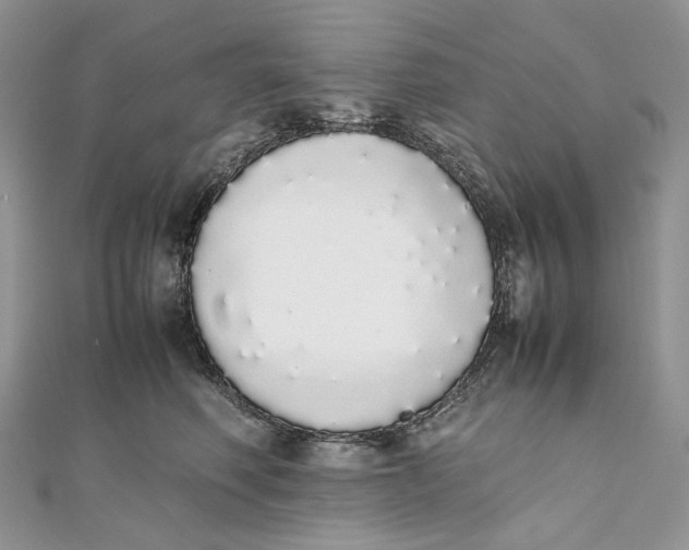X0000111450614200908031415
