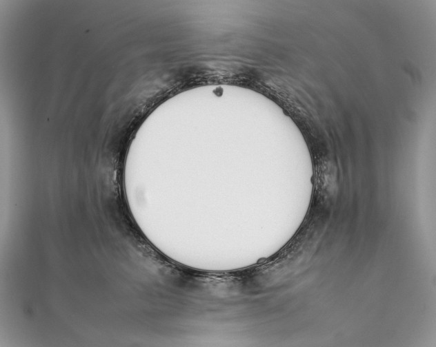 X0000111450615200908031415