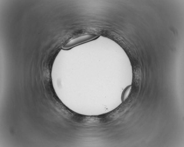 X0000111450617200908031415