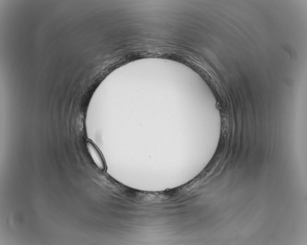 X0000111450621200908031415