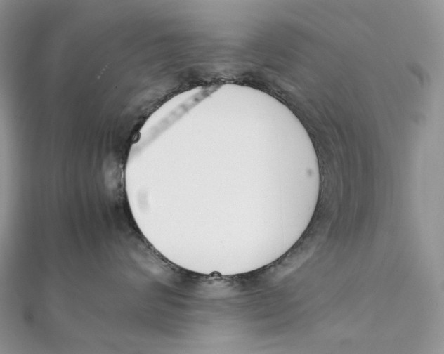 X0000111450624200908031415