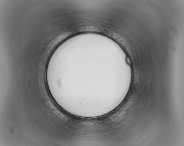X0000111450625200908031414