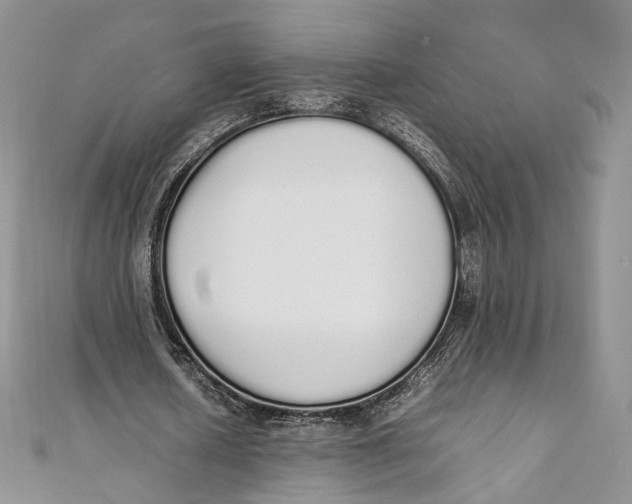 X0000111450626200908031414