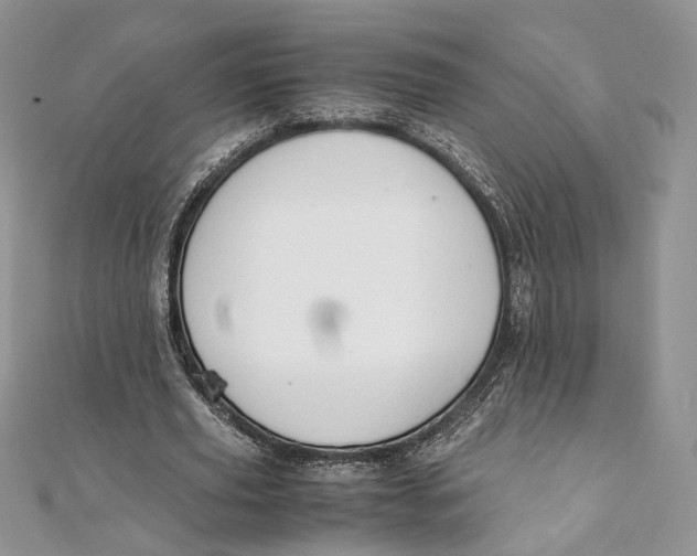 X0000111450629200908031414