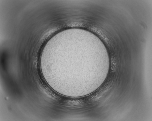 X0000111450631200908031414