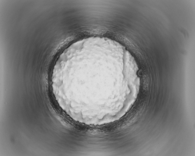 X0000111450634200908031414