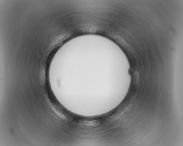 X0000111450638200908031414